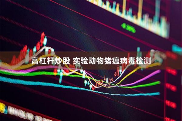 高杠杆炒股 实验动物猪瘟病毒检测